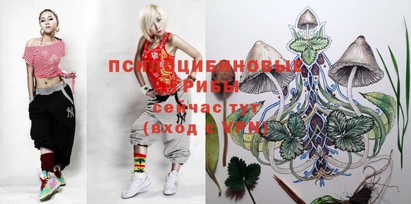 MDMA Армянск